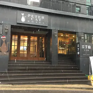 酒店 彼得猫酒店新村-弘大店, 首爾